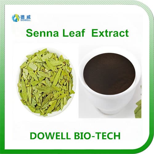 Herb extract_ senna leaf extract 8_ 10_ 20_